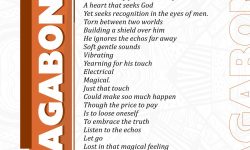THE VAGABOND