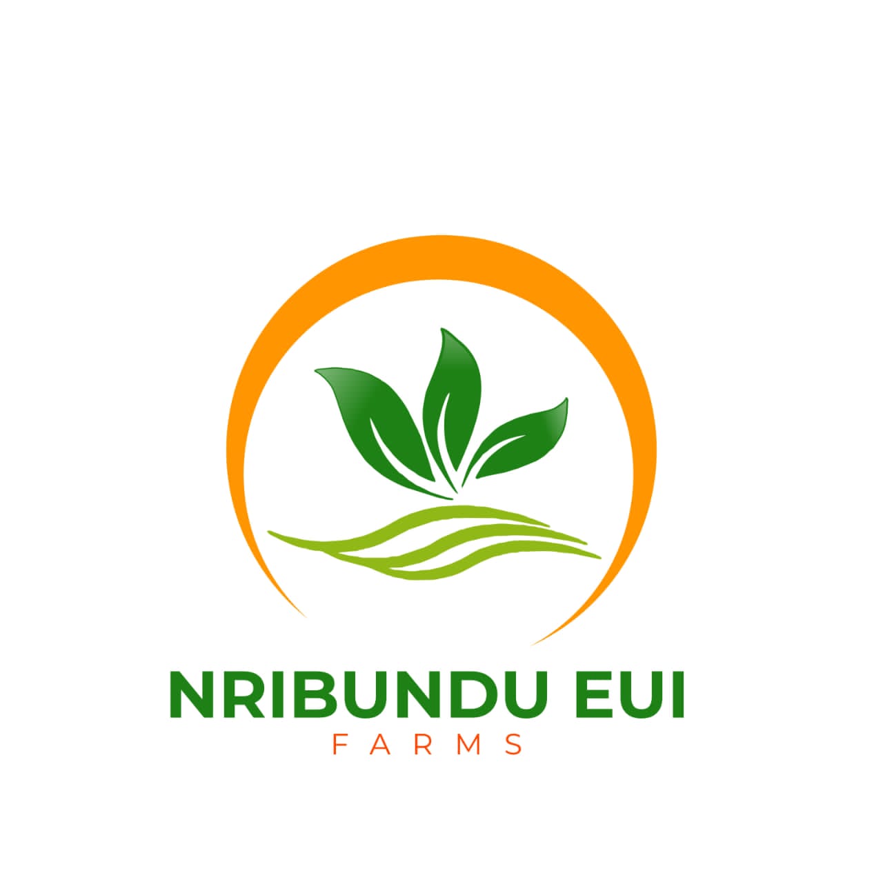 Nribundu, meaning "food is life" in Igbo was created by Ebere and Udoka Ijere, daughter and mother who through Agriculture have created jobs and empowered young men and women through this project. With its headquarters now in Abia State, Nigeria, crops are grown, and garri is processed providing jobs for the Eziama Community. Managed by Heaven's Kitchen CEO, Mr. Kingsley Joe, as the Director of the project, it has contributed in alleviating poverty in the community.